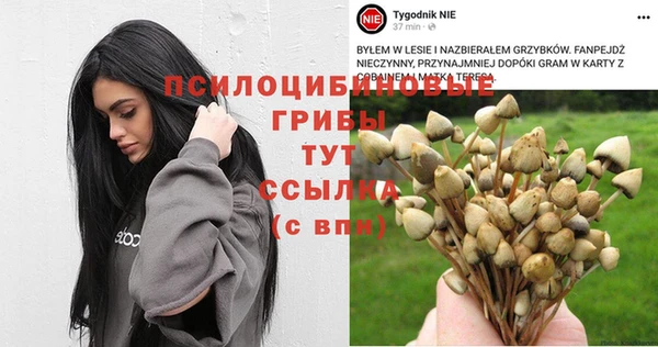 стафф Абдулино