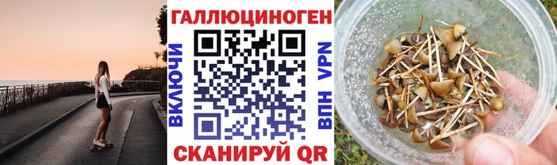 Галлюциногенные грибы мицелий  Галич 