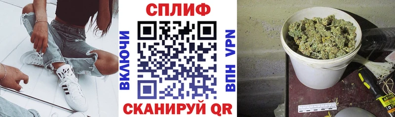 МАРИХУАНА конопля Галич
